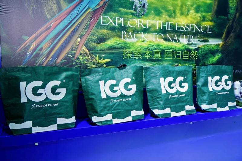 相上海它博会营养升级新趋势开元棋牌IGG