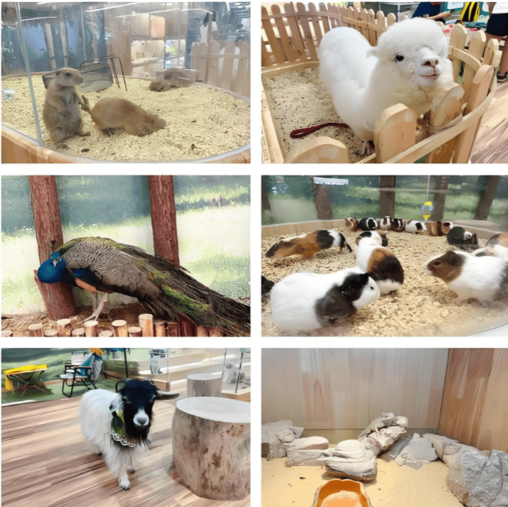 动物园正在批量跑路开元棋牌第一波商场(图3)